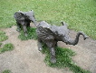 elephants